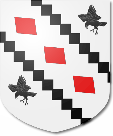 Shield image