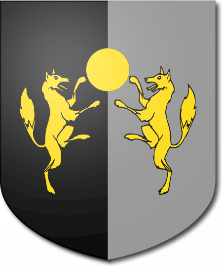 Shield image