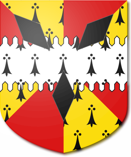 Shield image