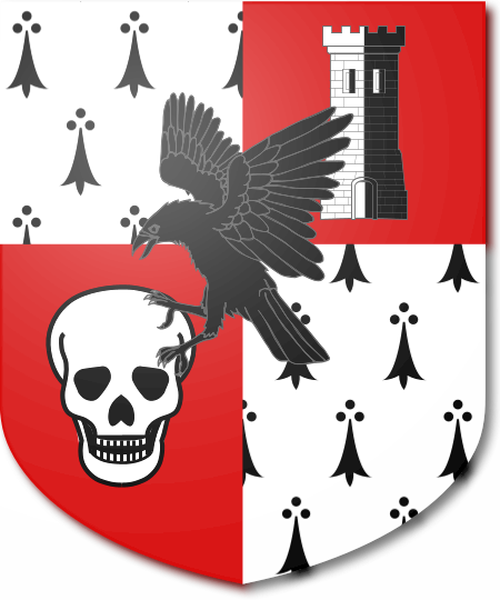 Shield image