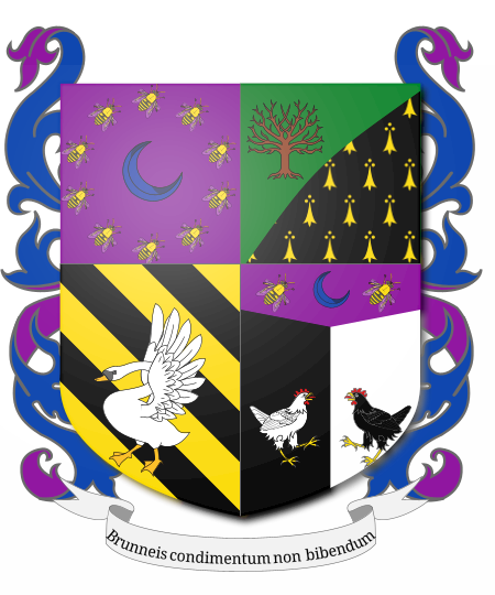 Shield image