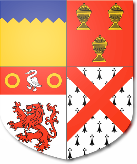 Shield image