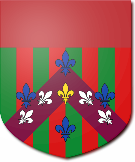 Shield image