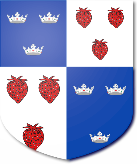 Shield image