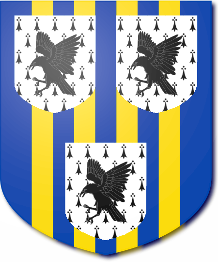 Shield image