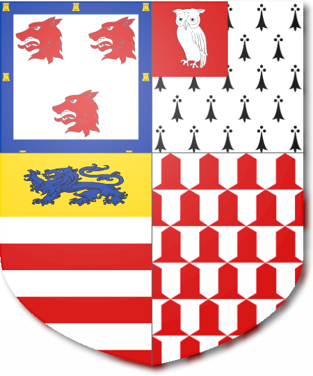 Shield image