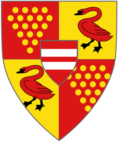 Shield image