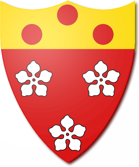 Shield image