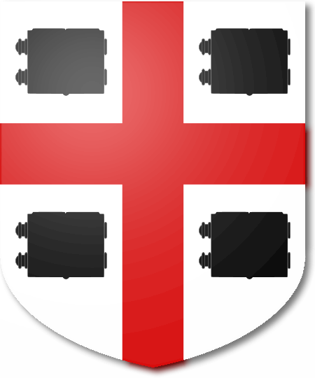 Shield image