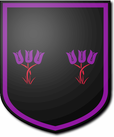 Shield image