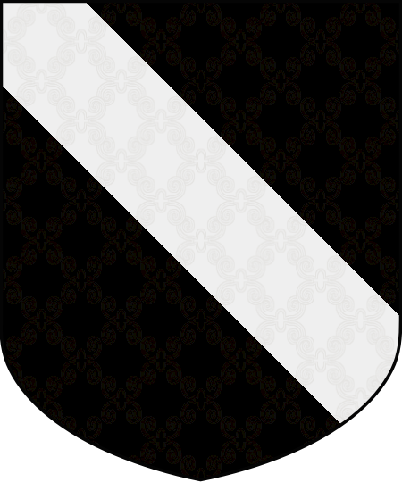 Shield image