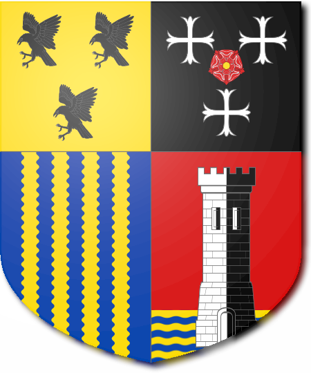 Shield image