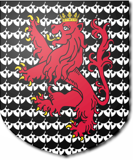 Shield image