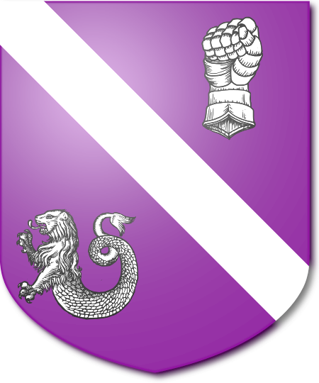 Shield image