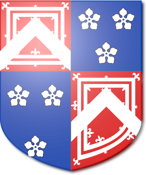 Shield image