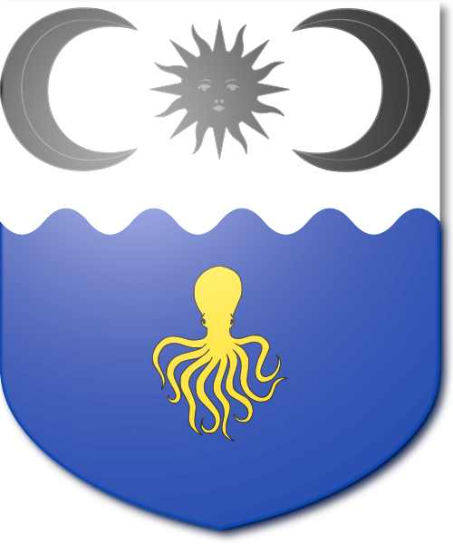 Shield image