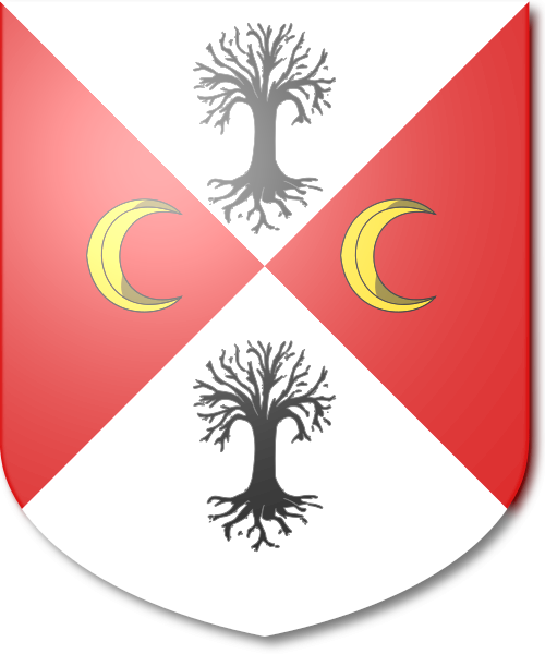 Shield image