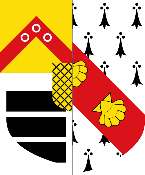 Shield image