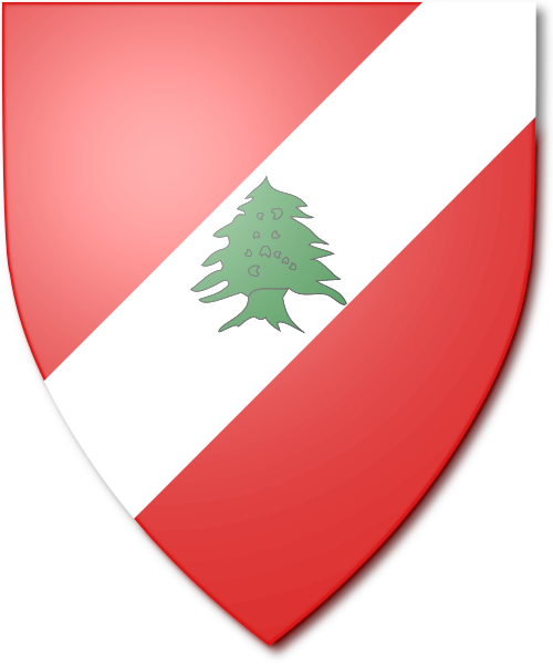 Shield image