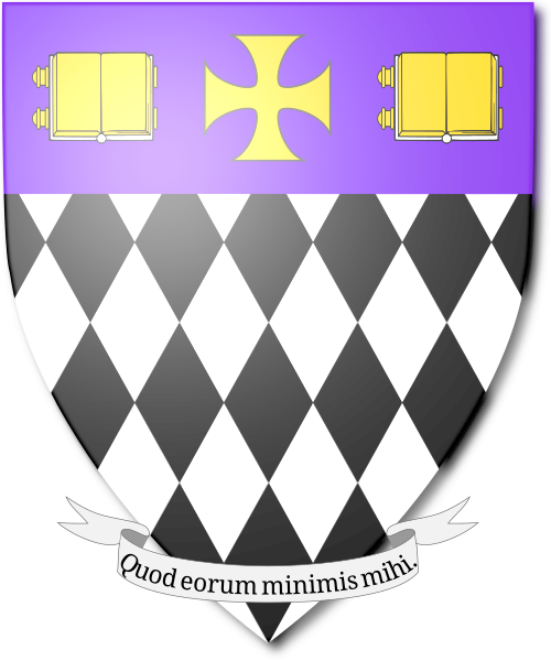 Shield image