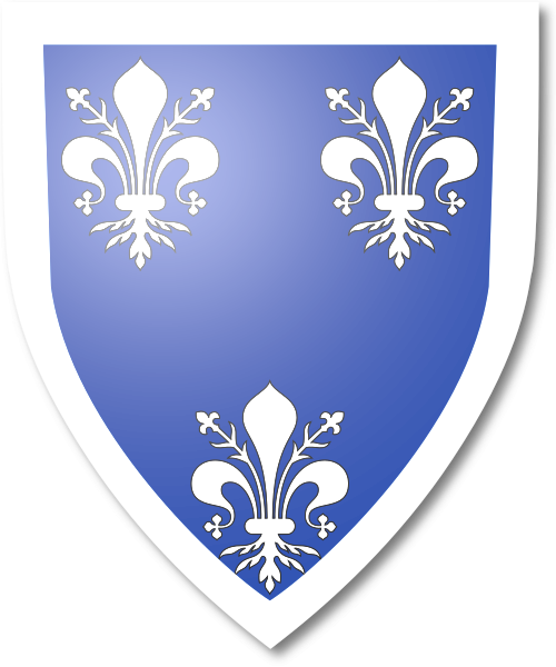 Shield image