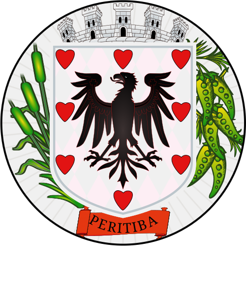 Shield image