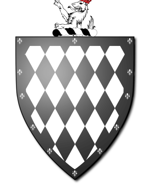 Shield image