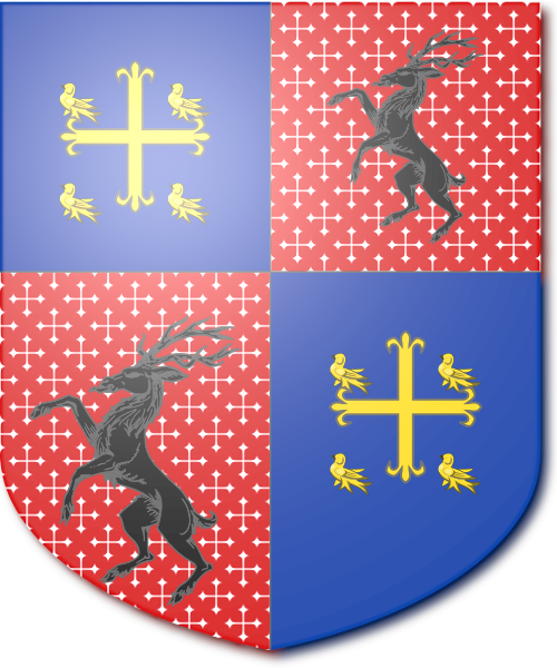 Shield image