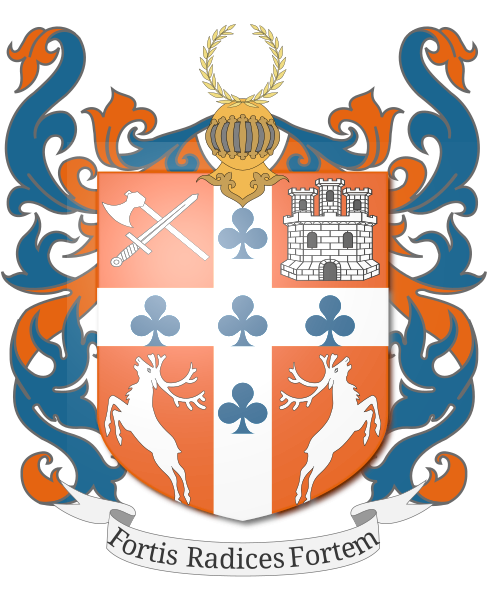 Shield image