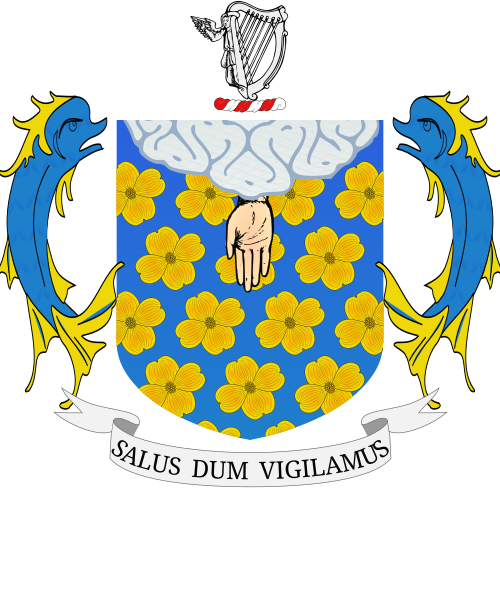 Shield image