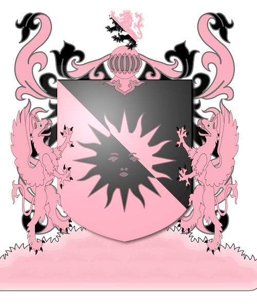 Shield image