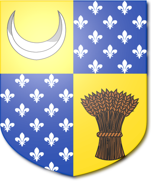 Shield image