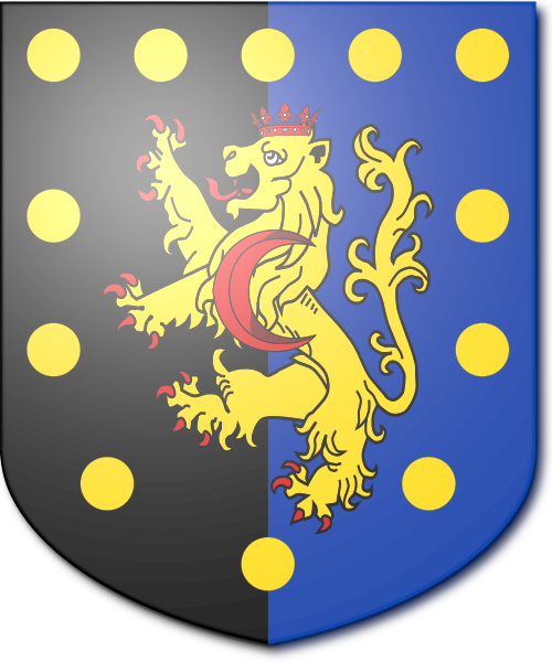 Shield image