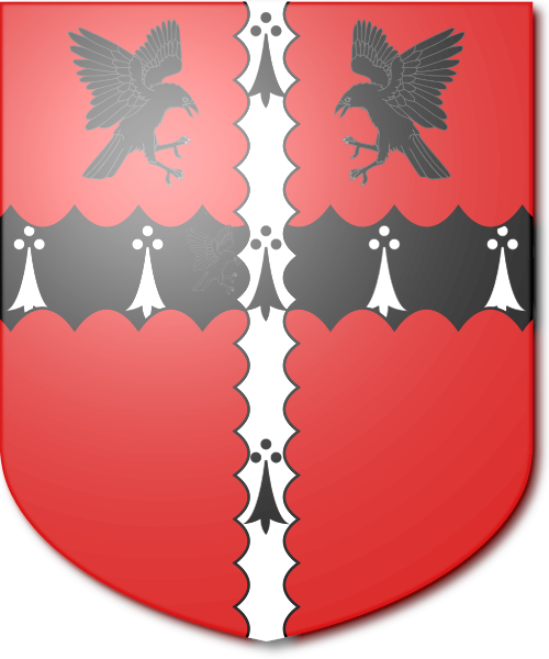 Shield image