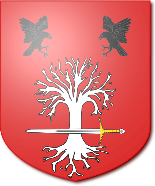 Shield image