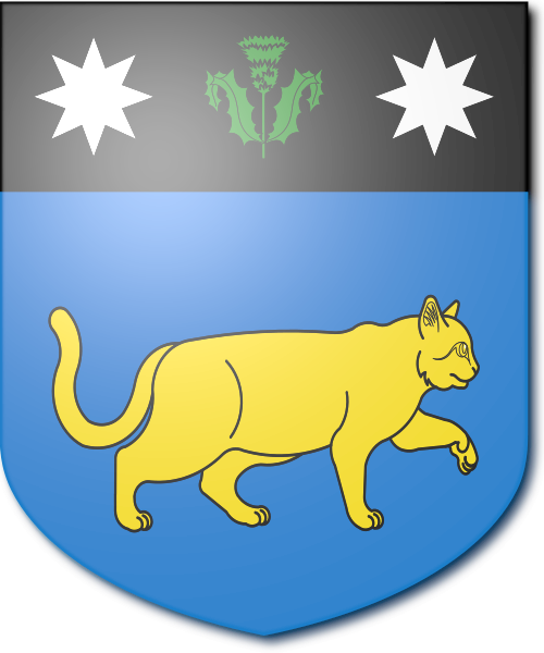 Shield image