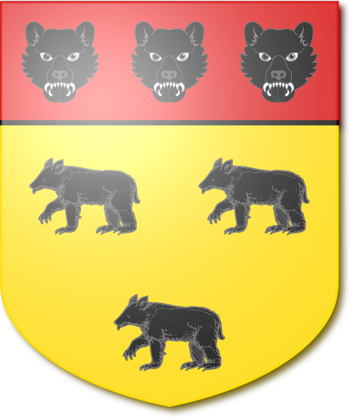 Shield image