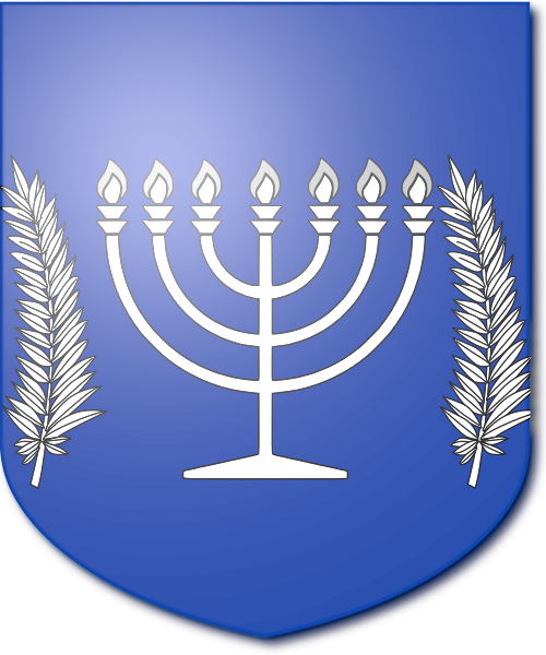 Shield image