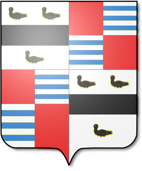 Shield image