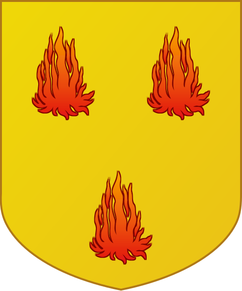 Shield image