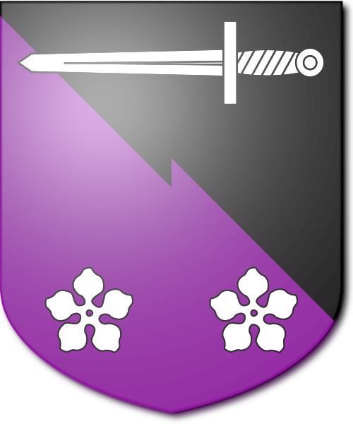 Shield image