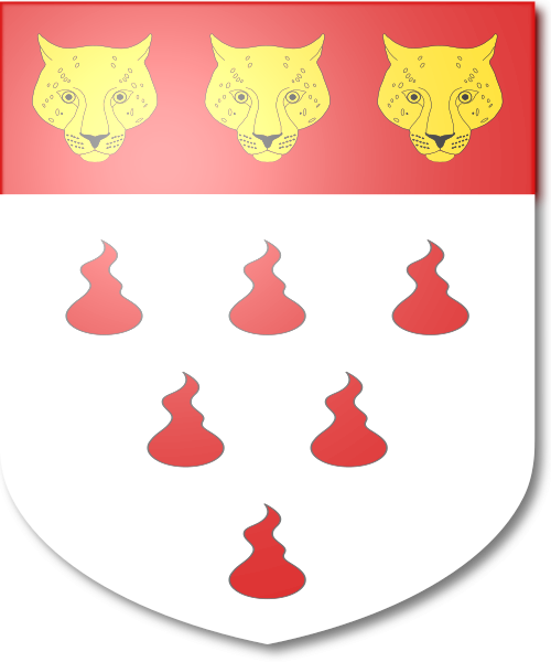 Shield image