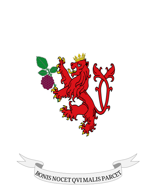 Shield image