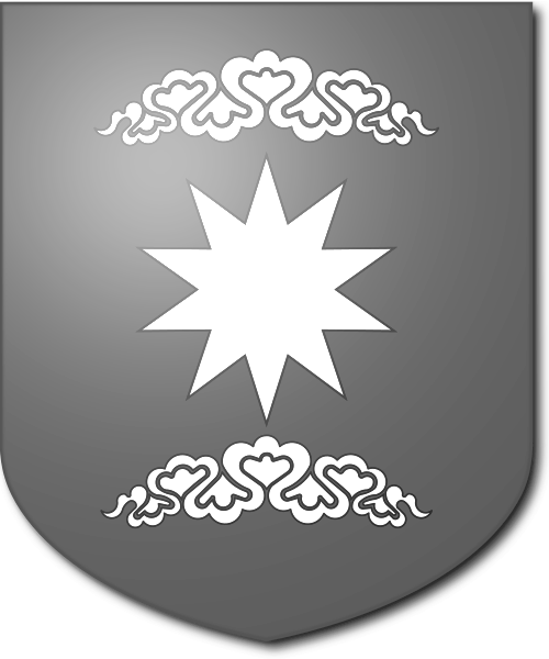 Shield image