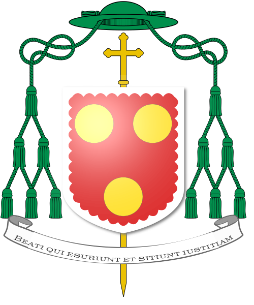 Shield image