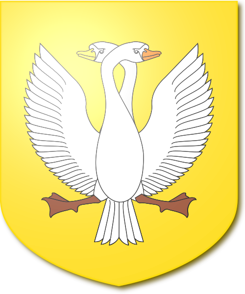 Shield image