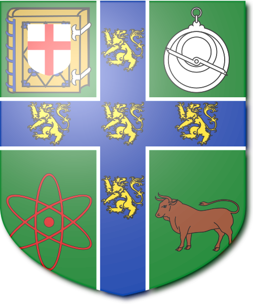 Shield image