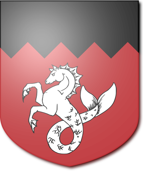 Shield image