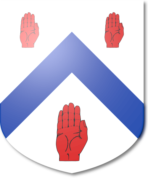 Shield image