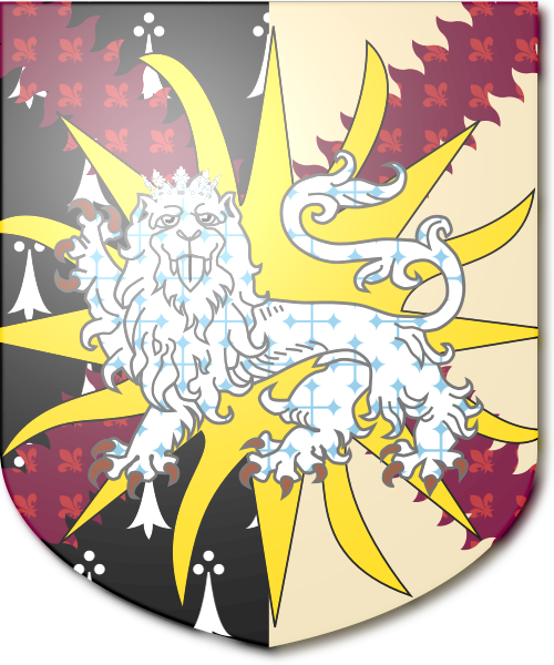 Shield image